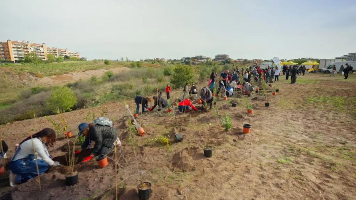 Tim pianta 400 nuovi alberi a Roma per migliorare l’ambiente urbano - 