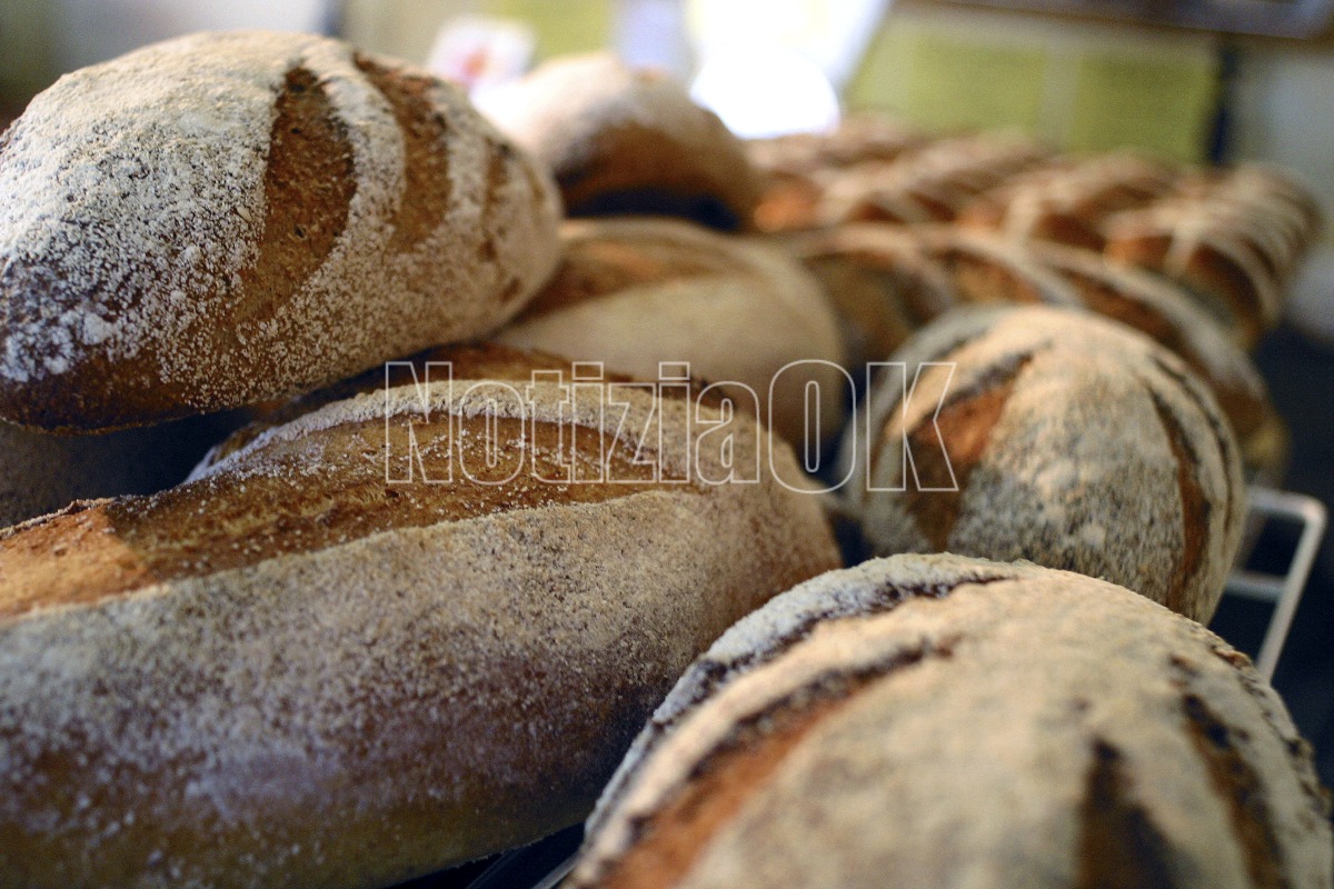 Basilicata e Calabria protagoniste a Matera per il Cammino del Pane - 