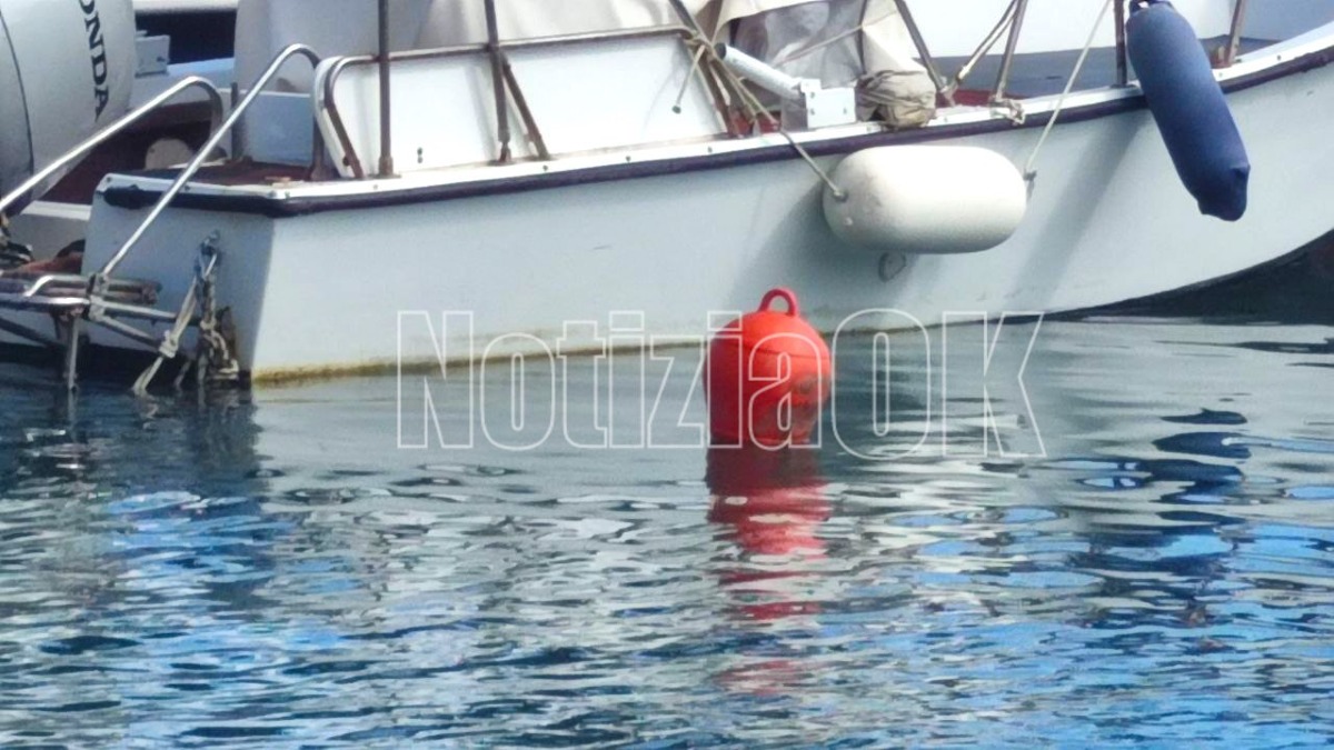 Parchi marini, Montuoro: “Concessi campi ormeggio per tutelare posidonia da ancoraggio selvaggio”  - 