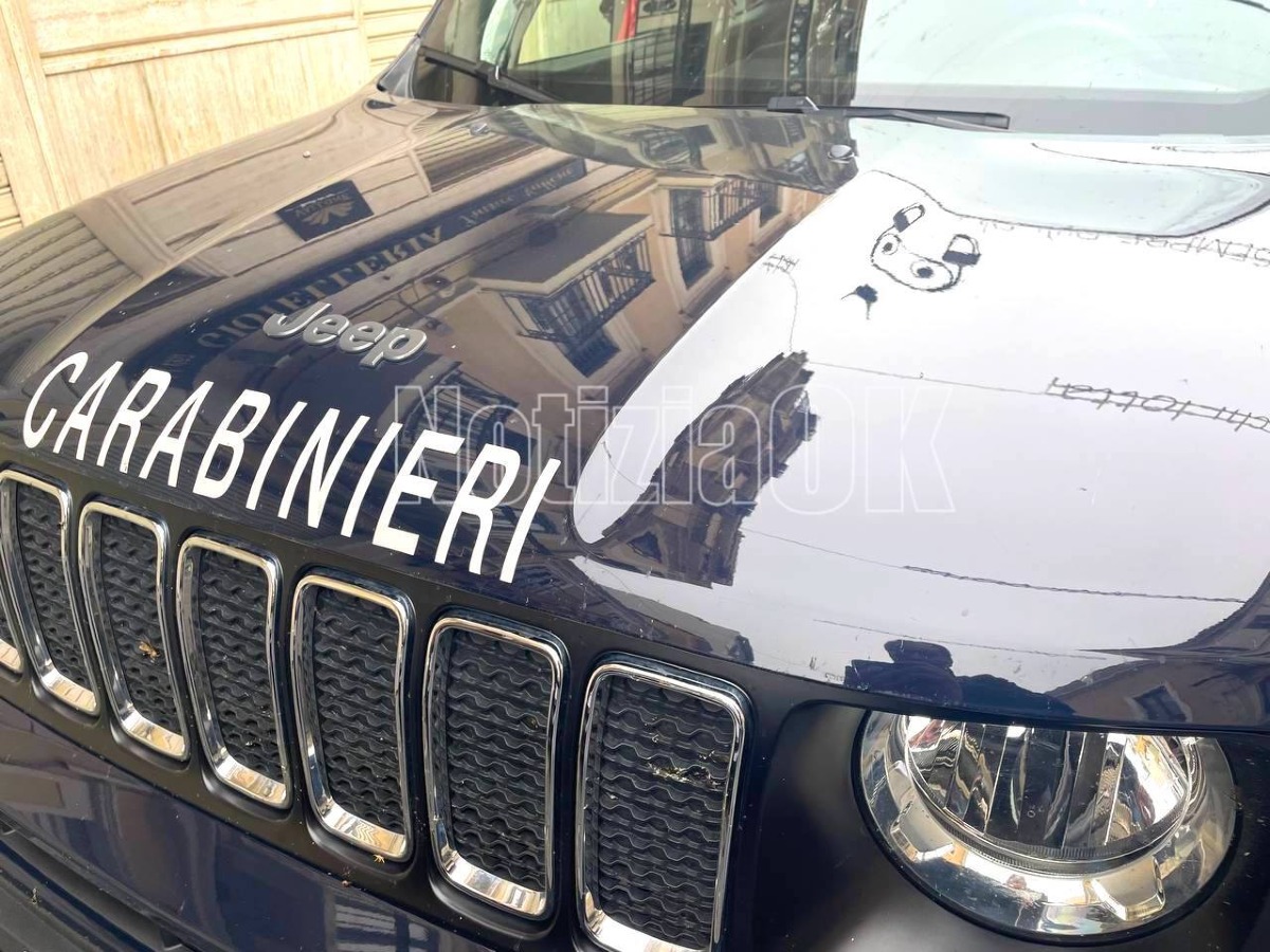 Ragazzo di 17 anni arrestato per tentato omicidio nel Reggino - 