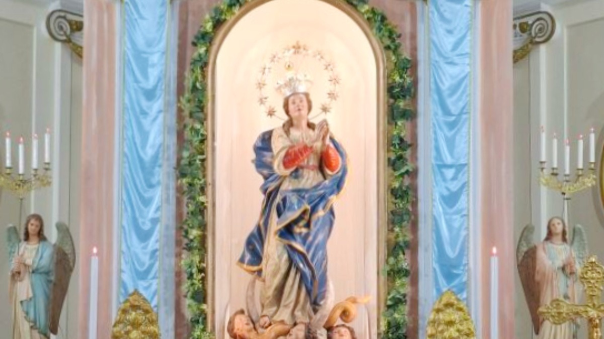 Festa dell’Immacolata Concezione a Mesoraca: fede e piantumazione nel Bosco del Convento - 