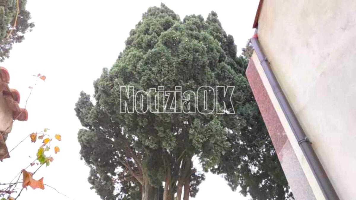 Cirò, Cimitero - Il sindaco Sculco: "In tre aree saranno posizionati oltre 100 loculi" - 