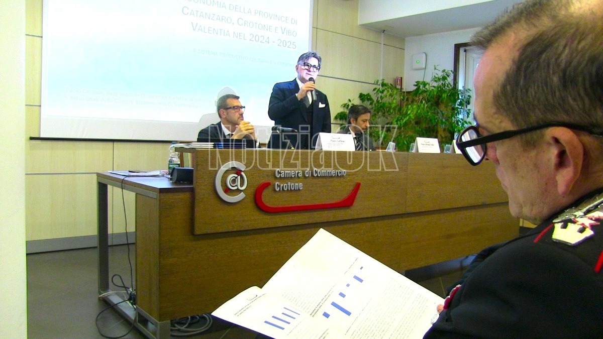 (VIDEO) Dati economici positivi per Catanzaro, Crotone e Vibo: crescita del valore aggiunto e territorio sempre più attrattivo - 
