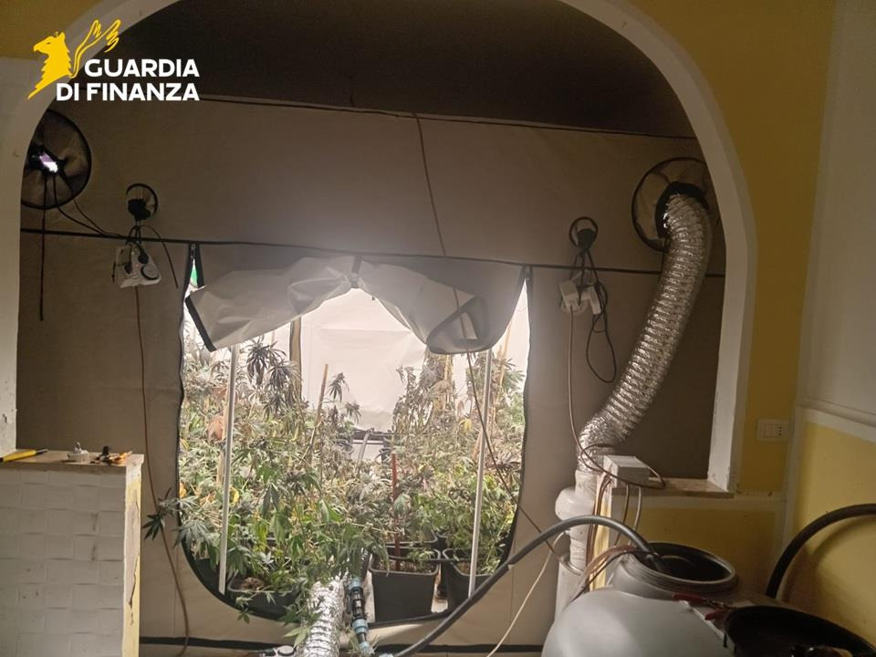 Cetraro - Scoperto laboratorio hi-tech per la produzione di marijuana - 