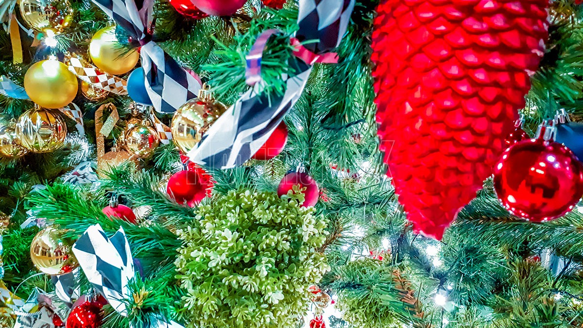 Natale a Petilia Policastro 2025 con un mese di eventi: atteso Fausto Leali - 