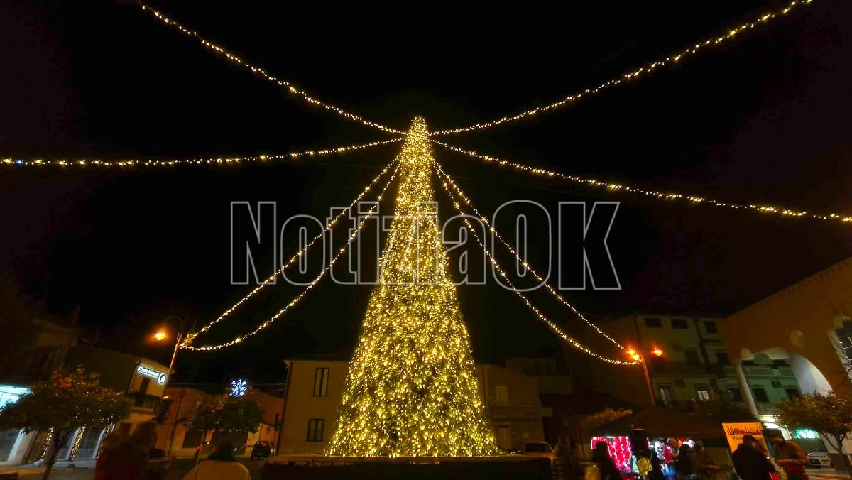Isola di Capo Rizzuto, si torna a respirare la maglia del Natale: inaugurato l'albero  - 