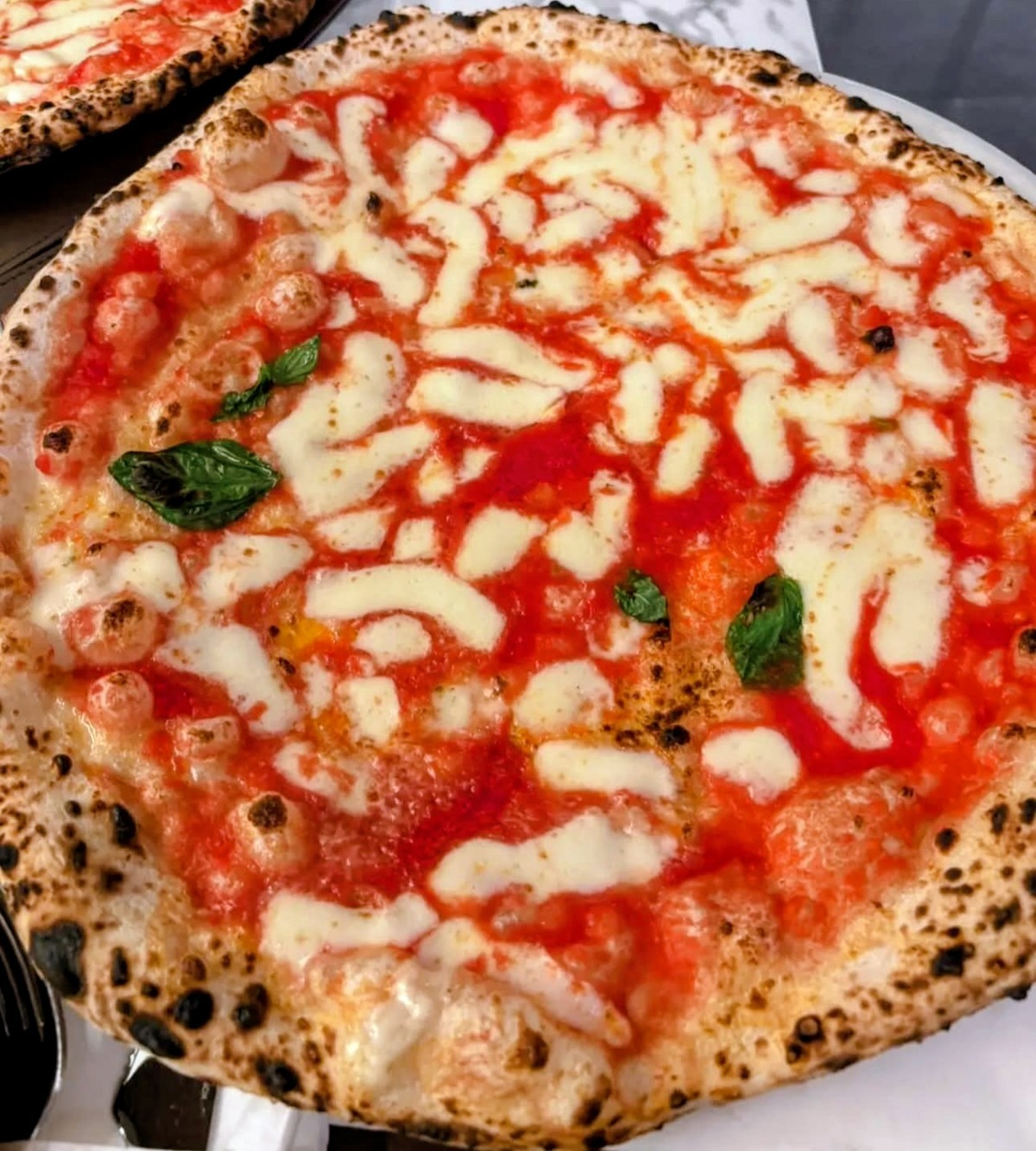 Le vie del Gusto - Una pizza di qualità  - 