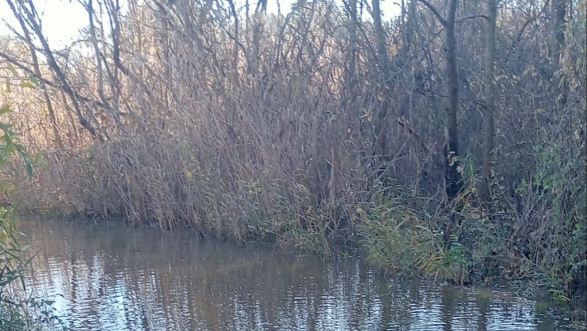 Corigliano-Rossano, Contrada Foggia isolata e senza tutele - 