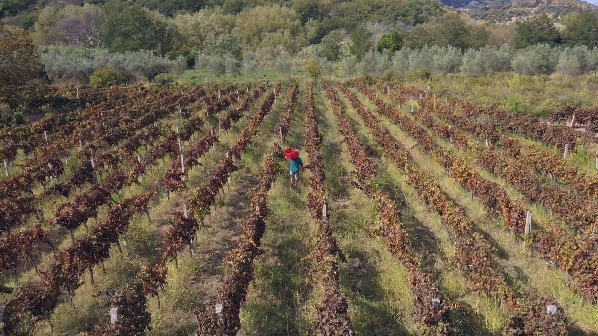 La Calabria arbereshe racconta la sua identità su Rai 3 - 