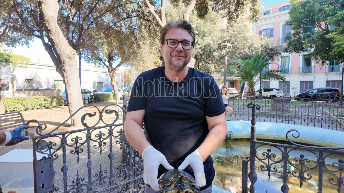 Volontari penalizzati dalle tasse: il grido di denuncia del WWF Crotone - 