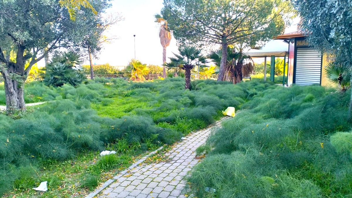 #LuoghiSospesi | (Foto) Crotone – Il Belvedere di San Domenico, panorama da recuperare - 