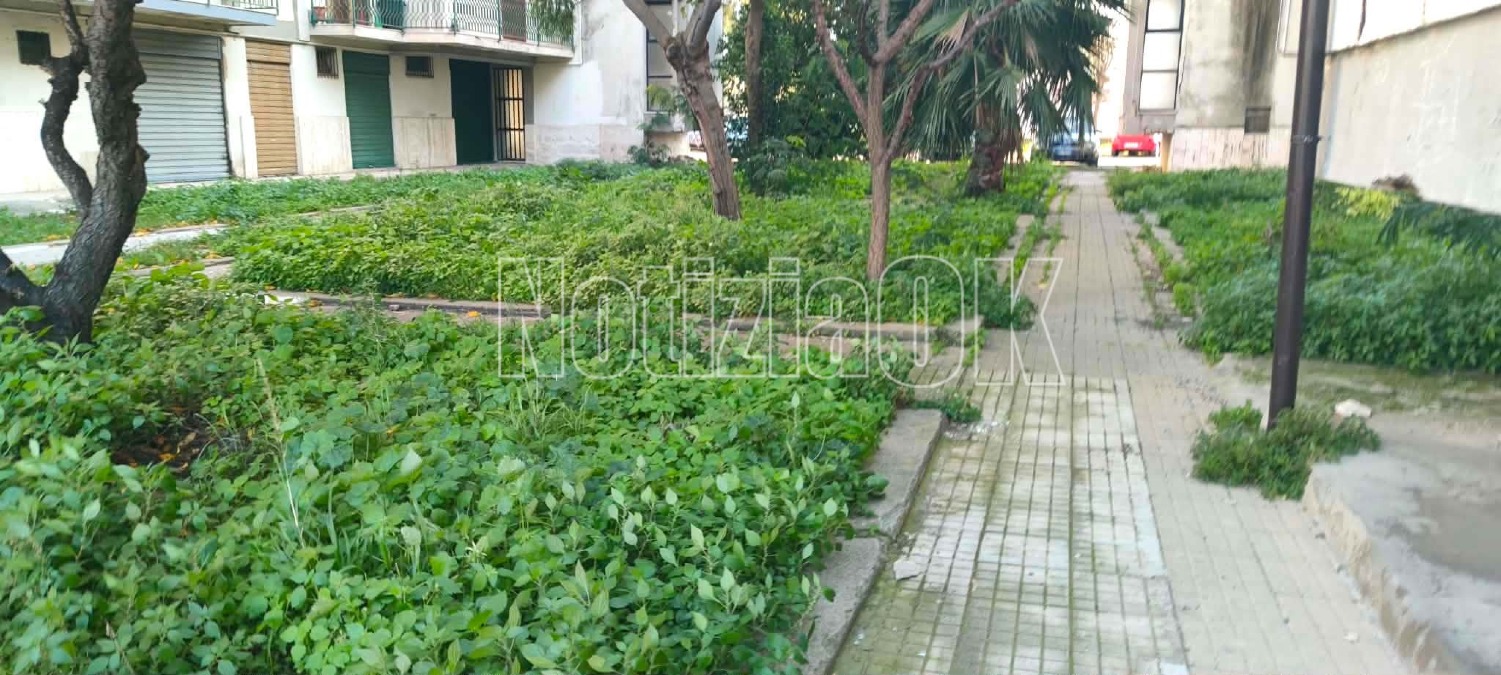 (FOTO) Nei Quartieri di Crotone - Da verde pubblico a jungla il passo è breve - 