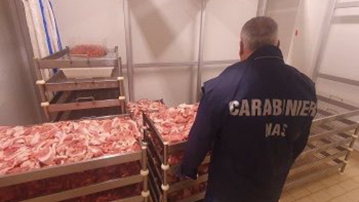 Controlli dei Carabinieri in provincia di Catanzaro: sequestrati alimenti privi di tracciabilità - 