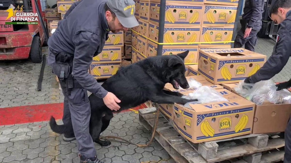 Maxi sequestro da quasi 18 milioni di euro a Reggio Calabria: colpiti i profitti del narcotraffico internazionale - 