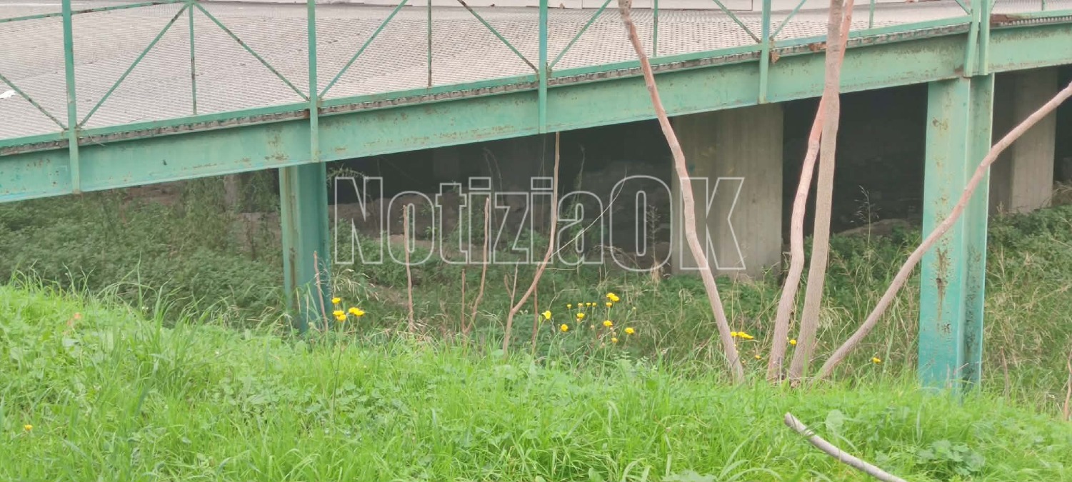 Nei quartieri di Crotone: si scava in città, in attesa della valorizzazione dei reperti già scoperti - 