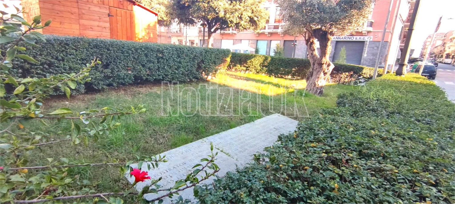 Nei quartieri di Crotone: una lastra in pietra nascosta racconta la storia della Scuola Pitagorica - 