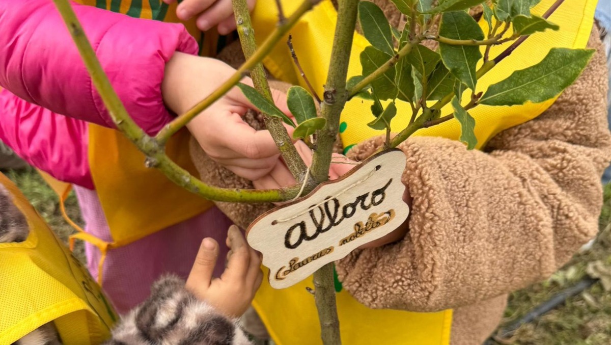 Corigliano-Rossano, Pedagogista Renzo: "Sporcarsi le mani per mettere radici" - 