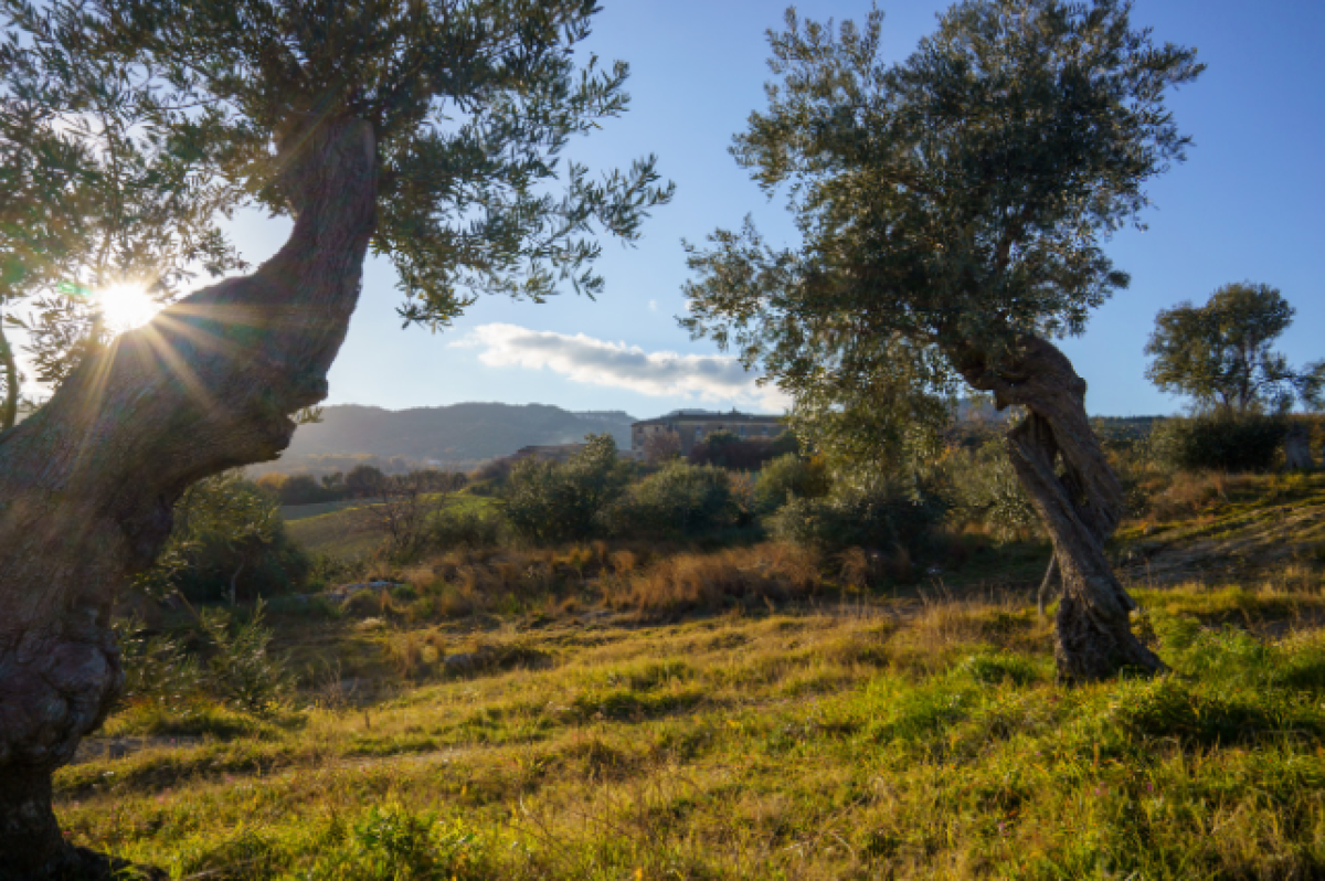 Gal Kroton, uno sportello per attività di divulgazione ed informazione  - 