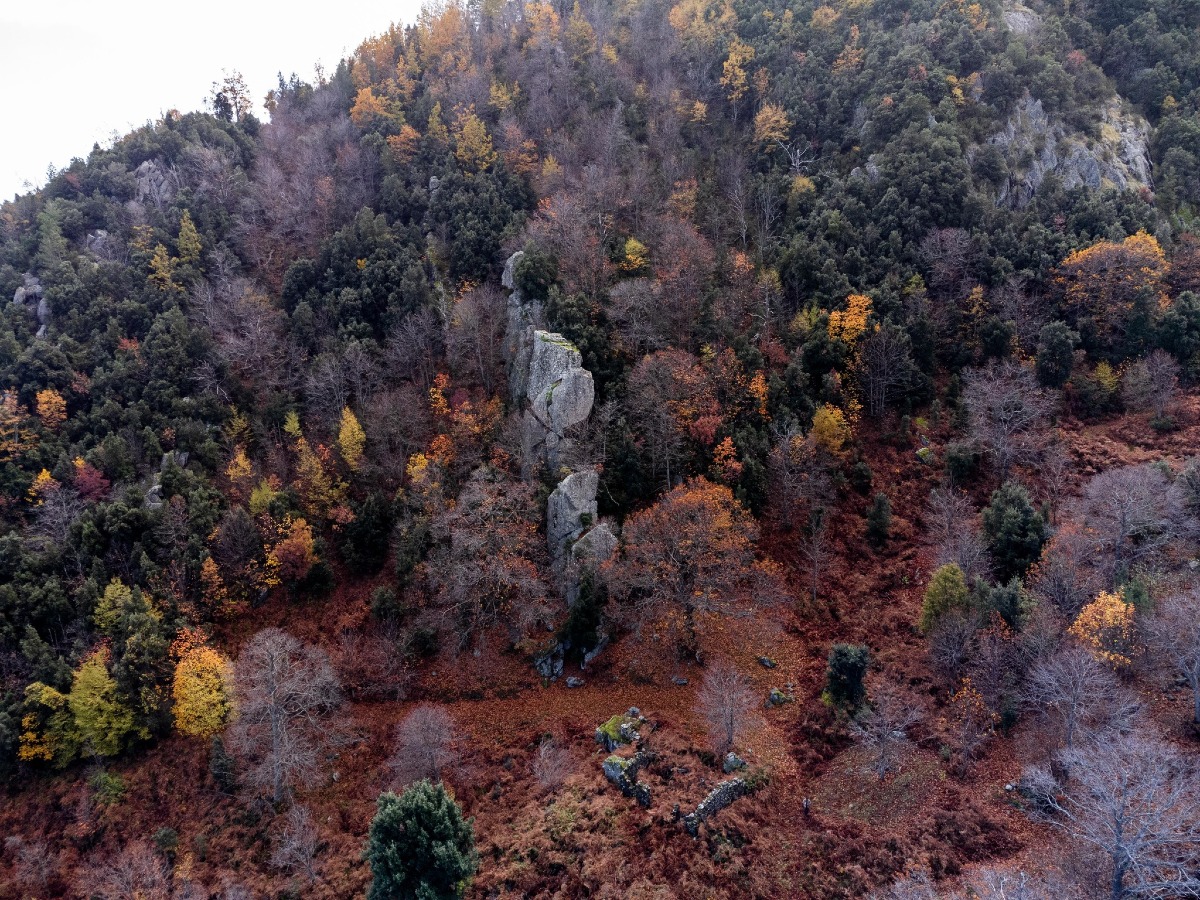 Mesoraca punta in alto: il Vergari diventa nuova capitale dell’arrampicata calabrese - 