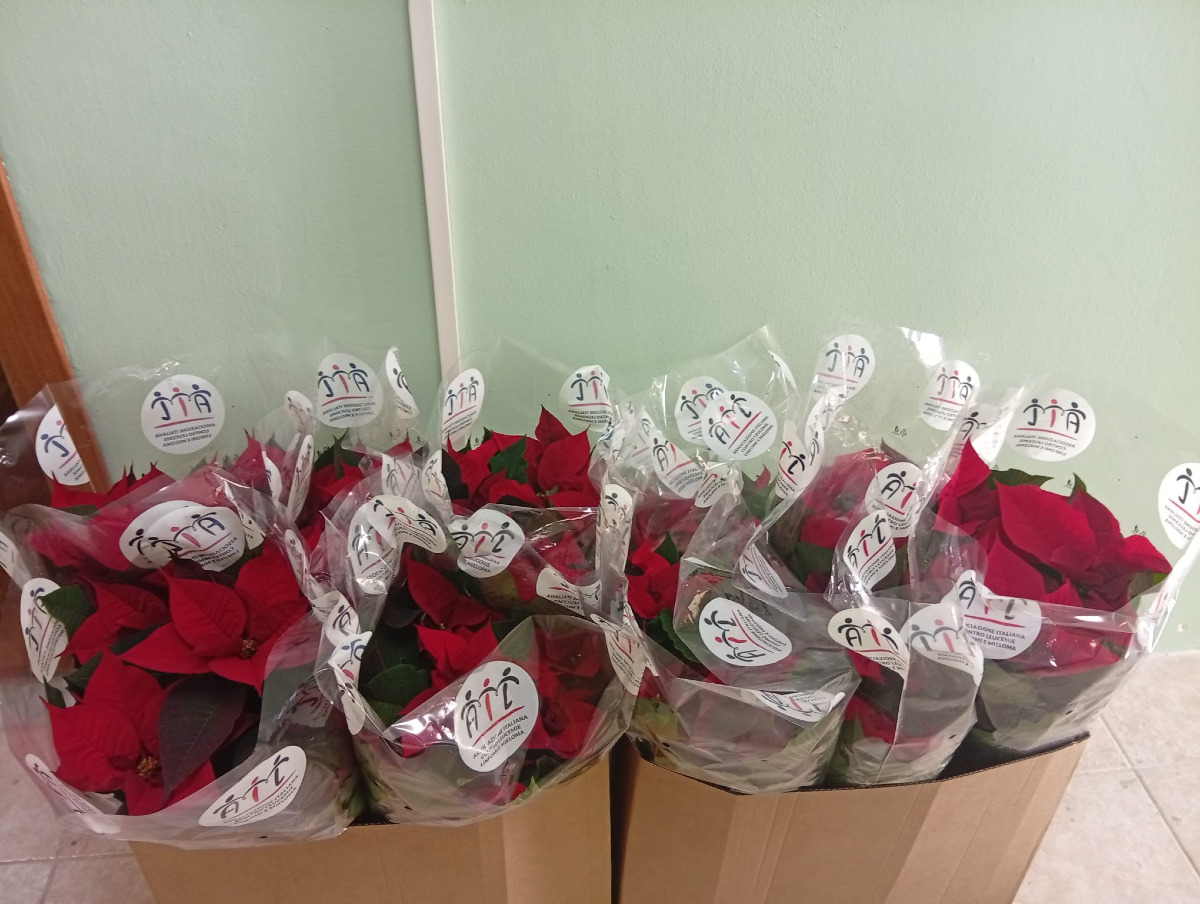 Crotone - Universo Minori dona le Stelle di Natale AIL alla Casa Circondariale - 