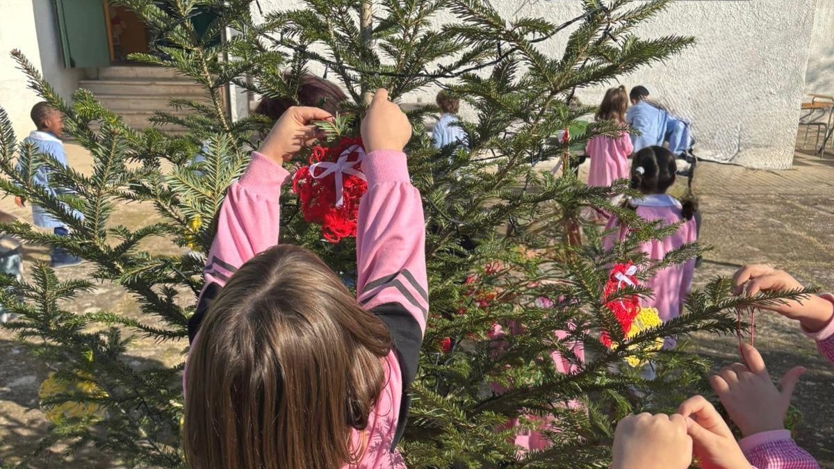 Un Natale originale, colorato e pieno d’amore a Bisignano - 