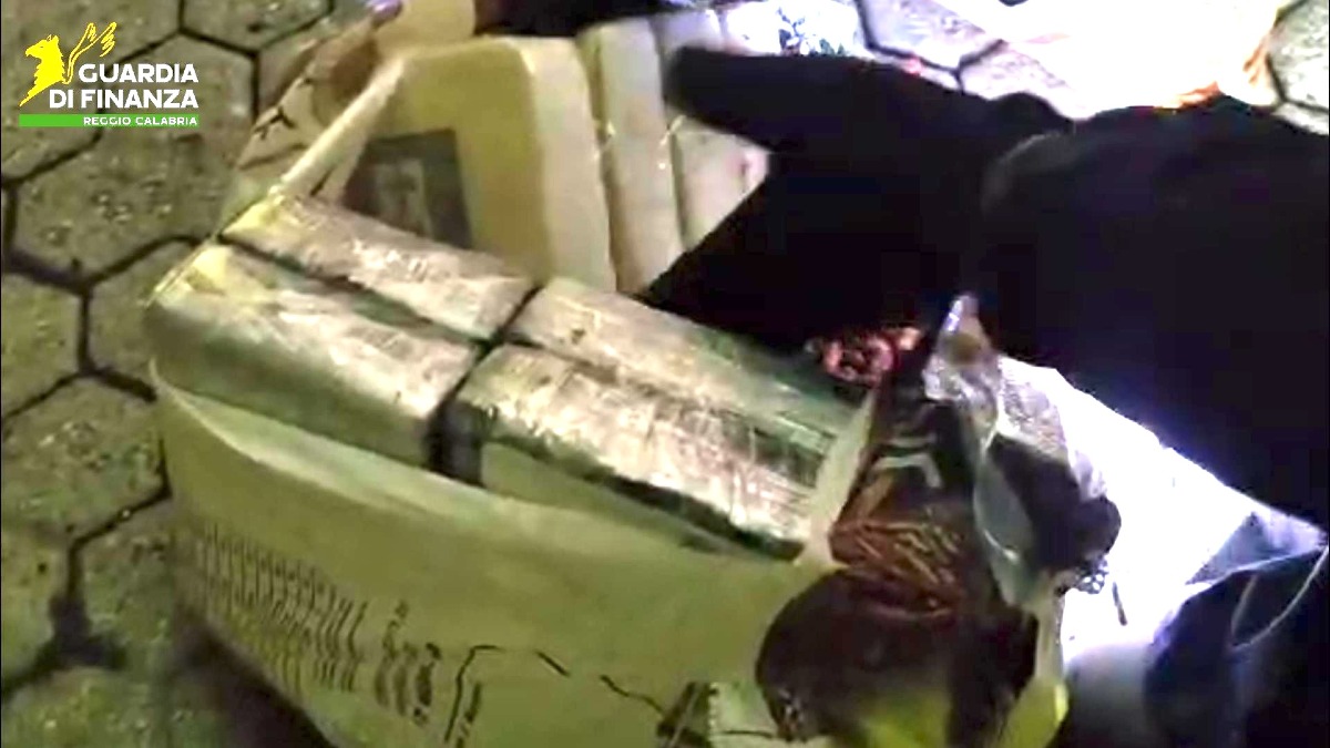 Maxi sequestro di cocaina al porto di Gioia Tauro: 435 chili nascosti tra sacchi di noccioline - 