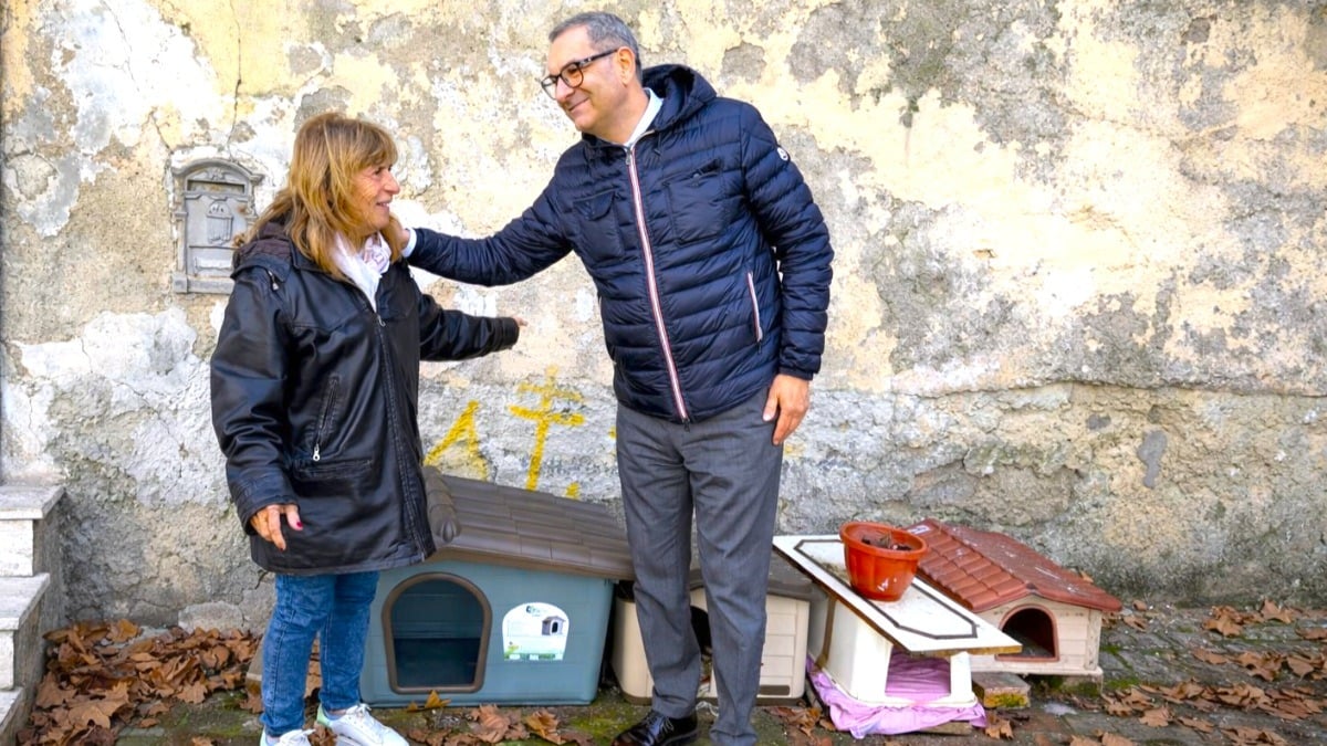 Crotone - Allarme violenze sugli animali, il Centro Storico chiede più sicurezza - 