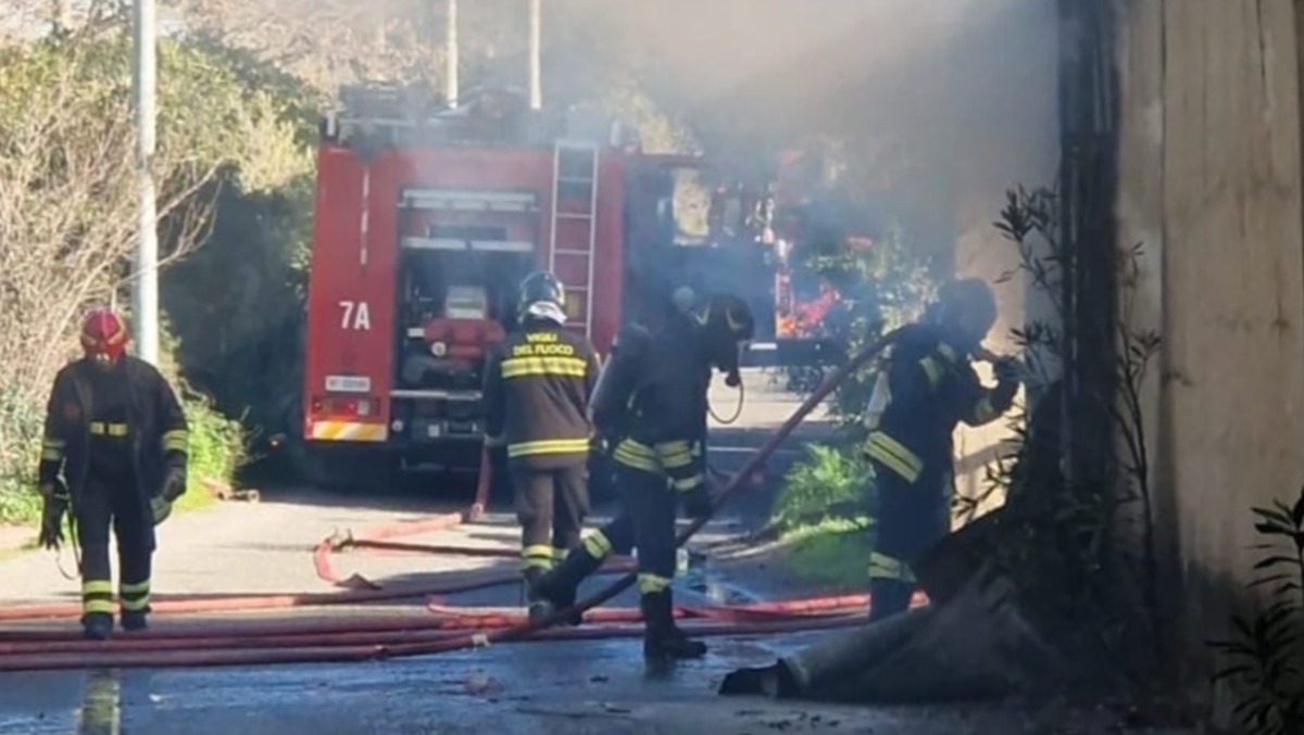 Capannone in fiamme: intervento dei Vigili del Fuoco  - 