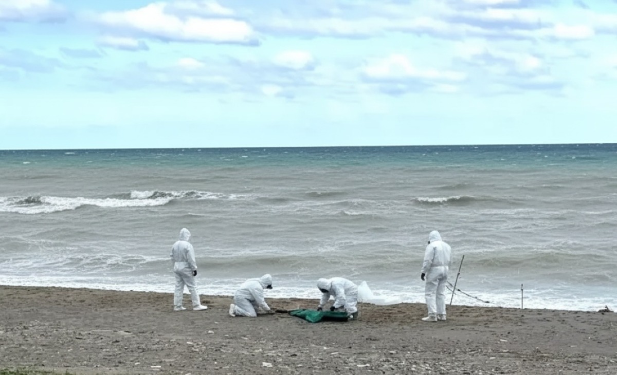 Cadavere in avanzato stato di decomposizione ritrovato sulla spiaggia di Cariati - 