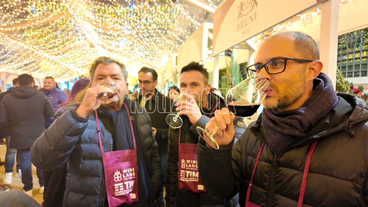 (VIDEO) Wineland, tre giorni per raccontare la Calabria del vino: “Bere calabrese significa sostenere un’agricoltura sana” - 