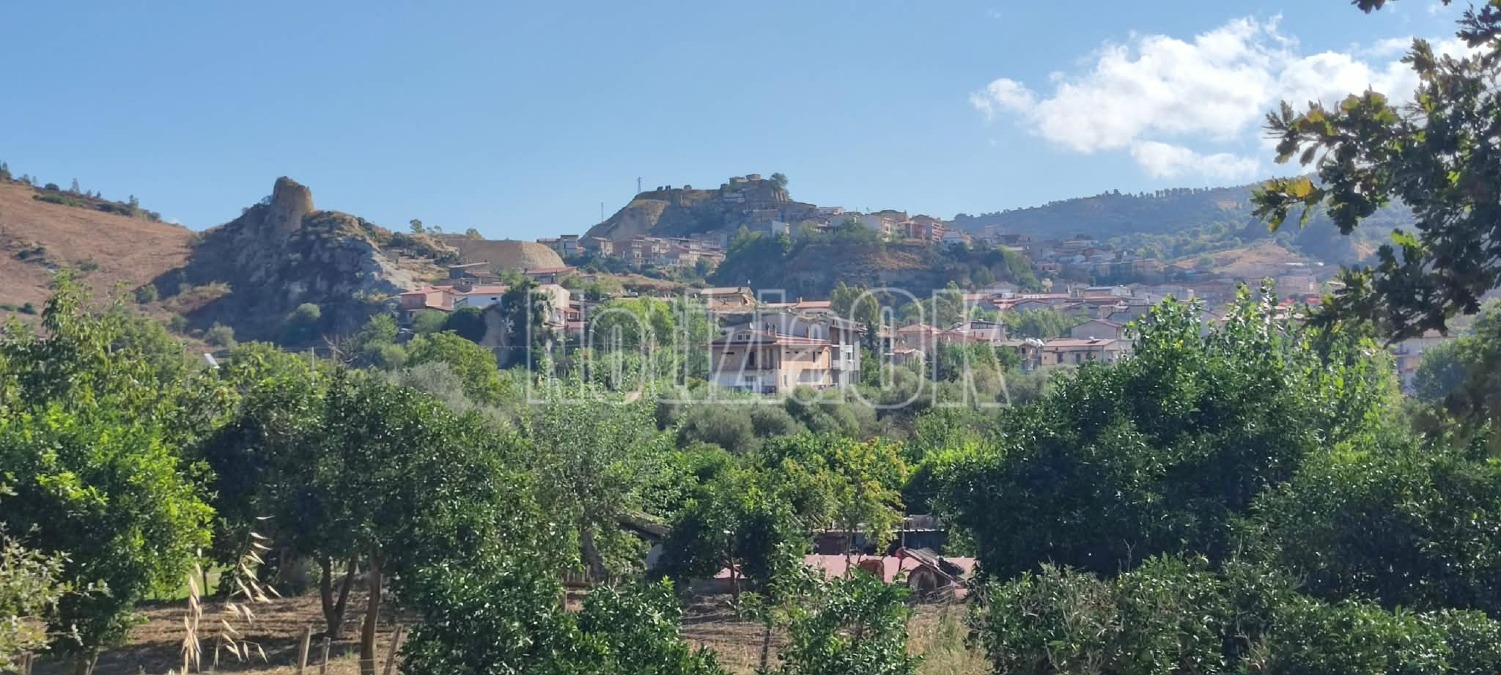 Roccabernarda celebra la II edizione di “Arancia Amica – Dalla Terra alla Tavola”  - 