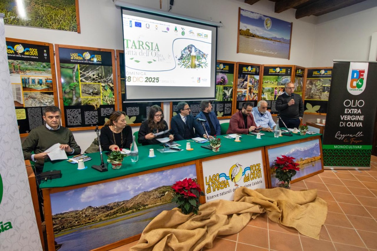 Tarsia "Città dell'Olio in Festa": innovazione e radici nella sesta edizione - 