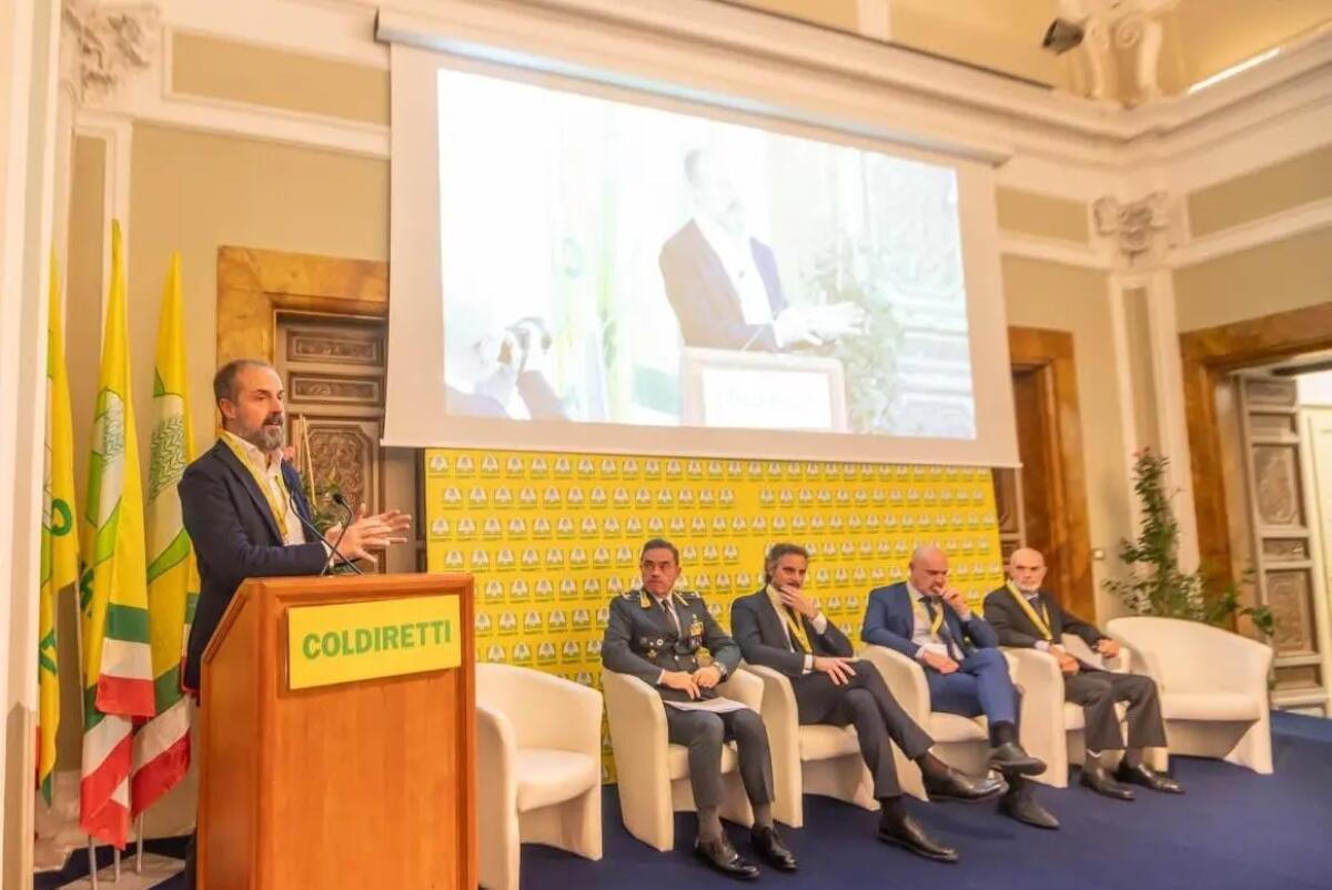 Rapporto Maciste, il mercato illecito del tabacco si sposta online e cambia volto - 