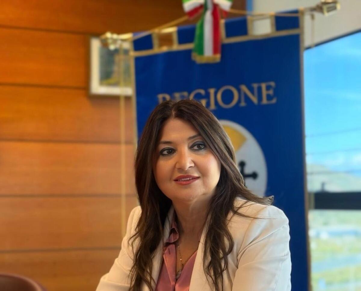 Calabria, Progetto Superabilities - Straface: "Ammessi e finanziati 52 progetti per 3,5 milioni di euro" - 