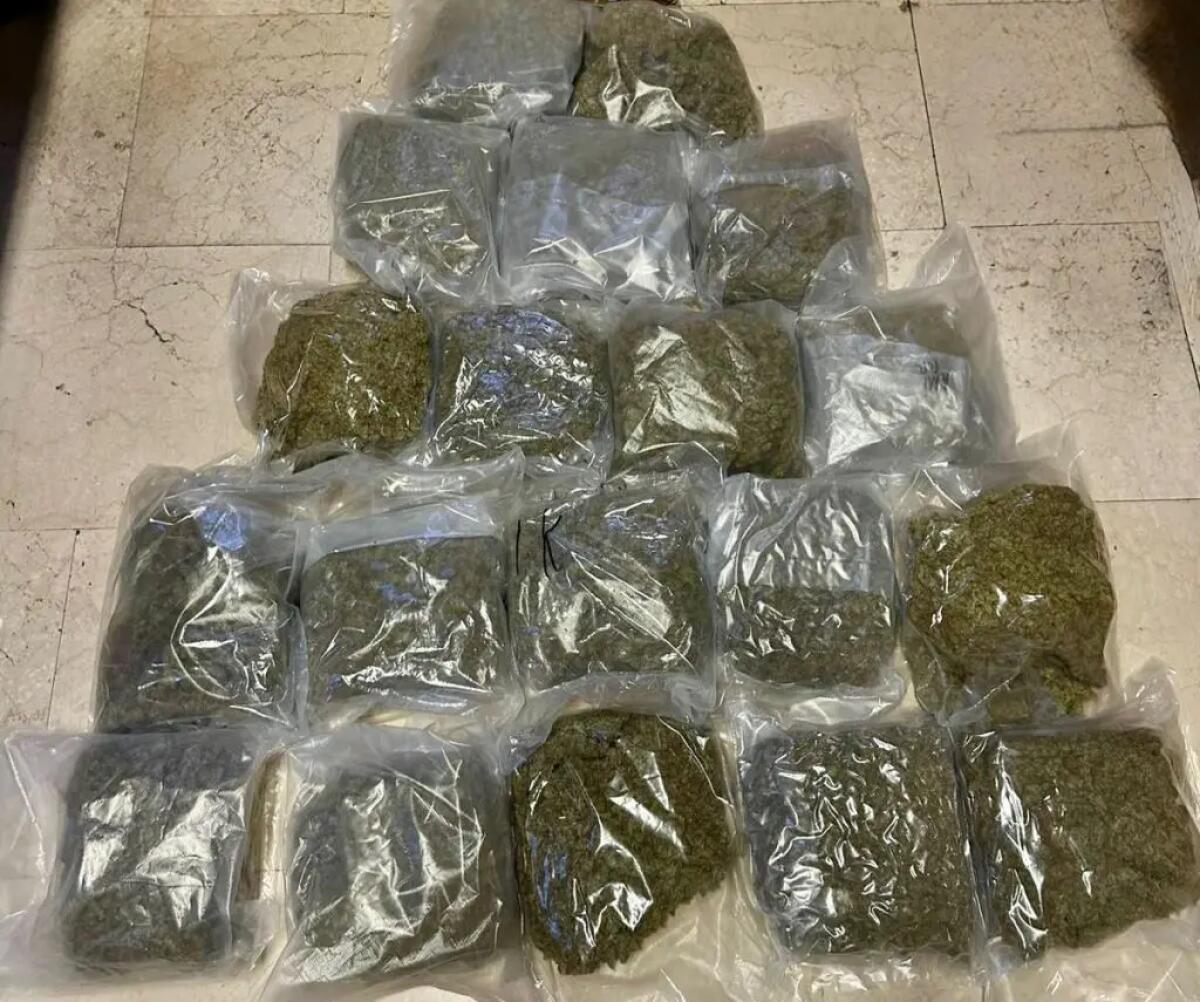 Arrestati a Bologna due trafficanti di droga con 20 kg di marijuana - 