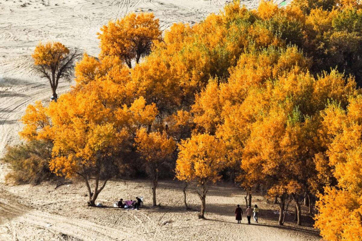 Cina, nello Xinjiang produzione di petrolio greggio supera 1,7 mln di tonnellate - 