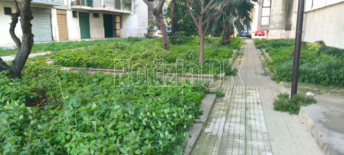 Via Giuseppe Tommasi di Lampedusa - (Redazione - 11.12.2025) 4