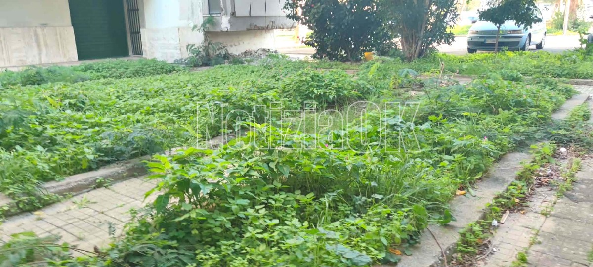 Via Giuseppe Tommasi di Lampedusa - (Redazione - 11.12.2025) 7