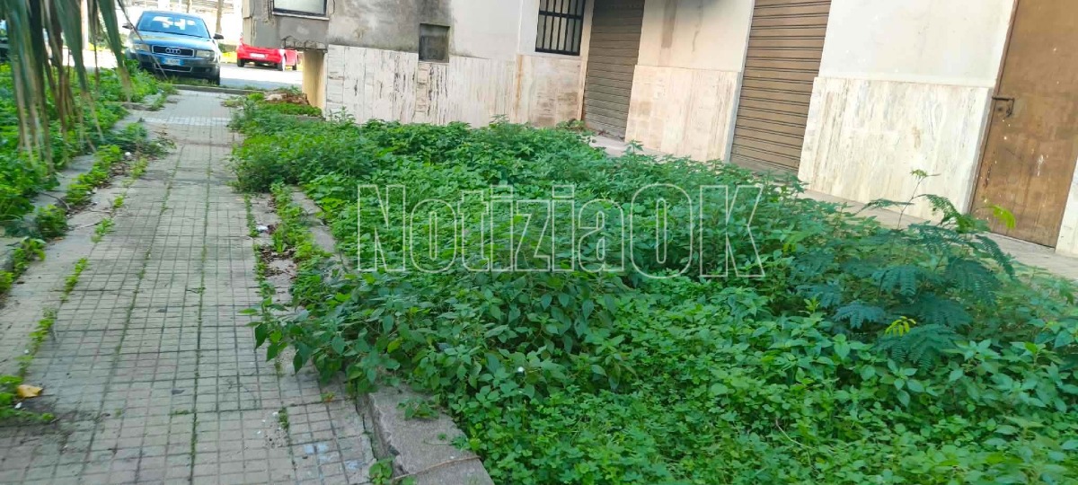 Via Giuseppe Tommasi di Lampedusa - (Redazione - 11.12.2025) 9