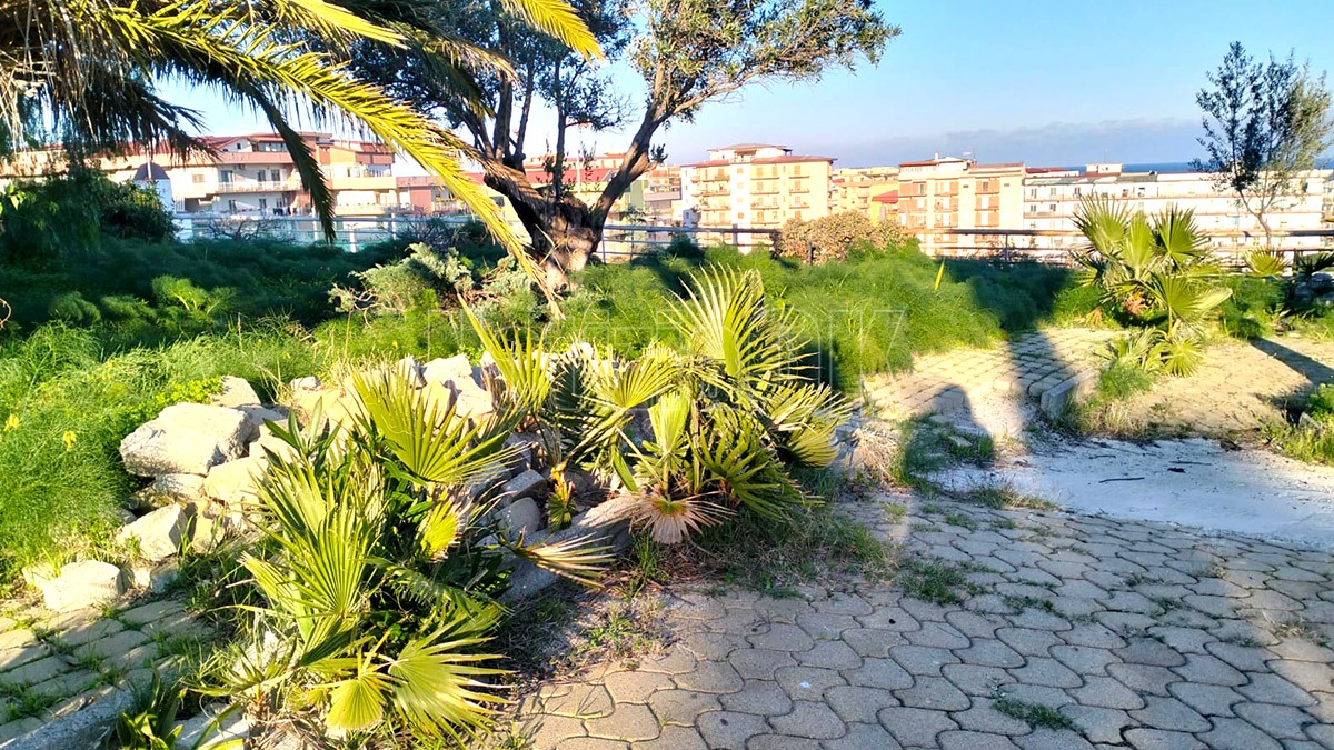 Belvedere-San-Domenico-(Redazione-11.12.2025)3