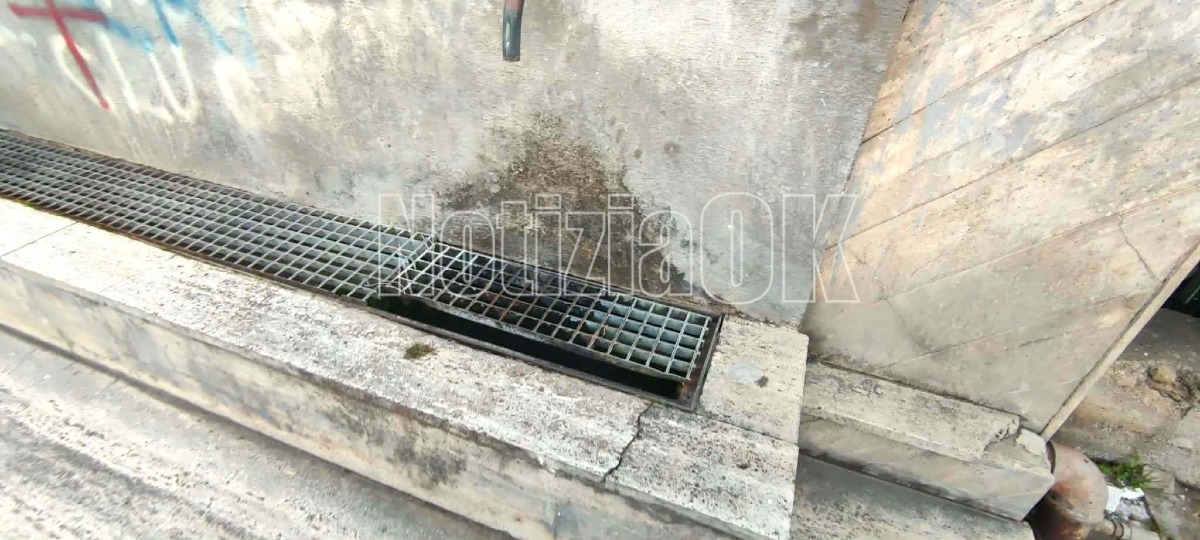 Crotone - Senatorelle (Redazione - 16.12.2025)