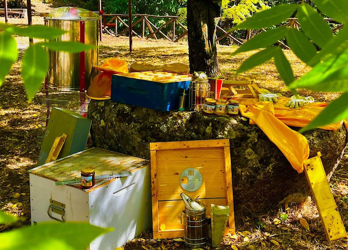 Le Quattro Stagioni del benessere (Clementina Cizza dicembre 2025)