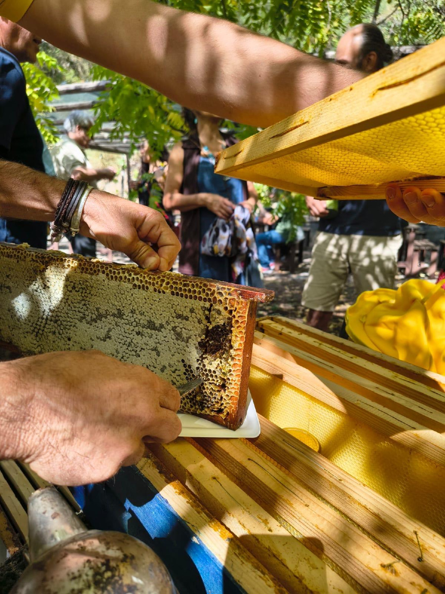 Le Quattro Stagioni del benessere (Clementina Cizza dicembre 2025) 1