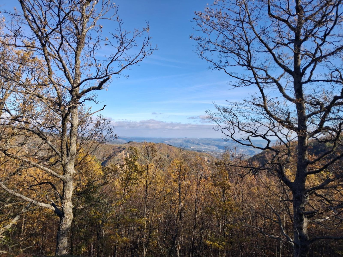 Le Quattro Stagioni del benessere (Clementina Cizza dicembre 2025) 17