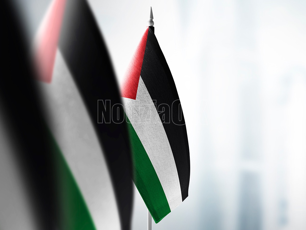 A Catanzaro il “Presepe morente per Gaza”: un grido di pace accanto alla Basilica dell’Immacolata - 