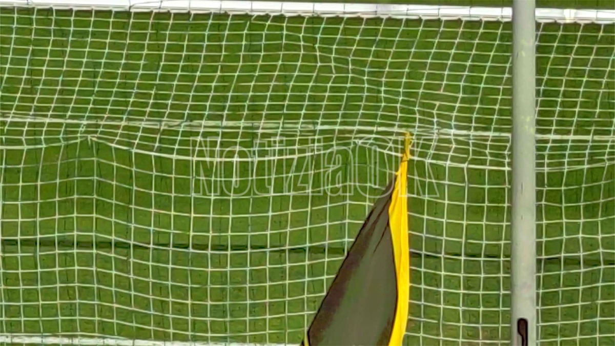 Calcio - Due rinforzi per la Vigor Lamezia: arrivano Maimone e Turini - 