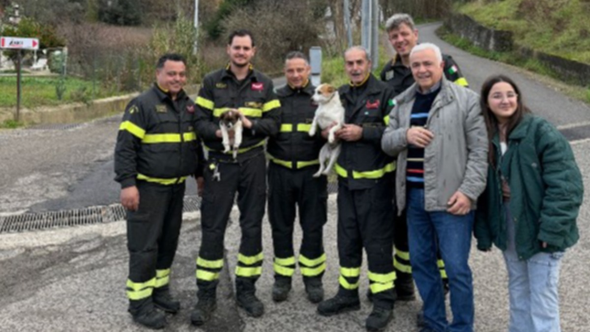 Cosenza, i Vigili del Fuoco effettuano il recupero di due cani caduti in un dirupo - 