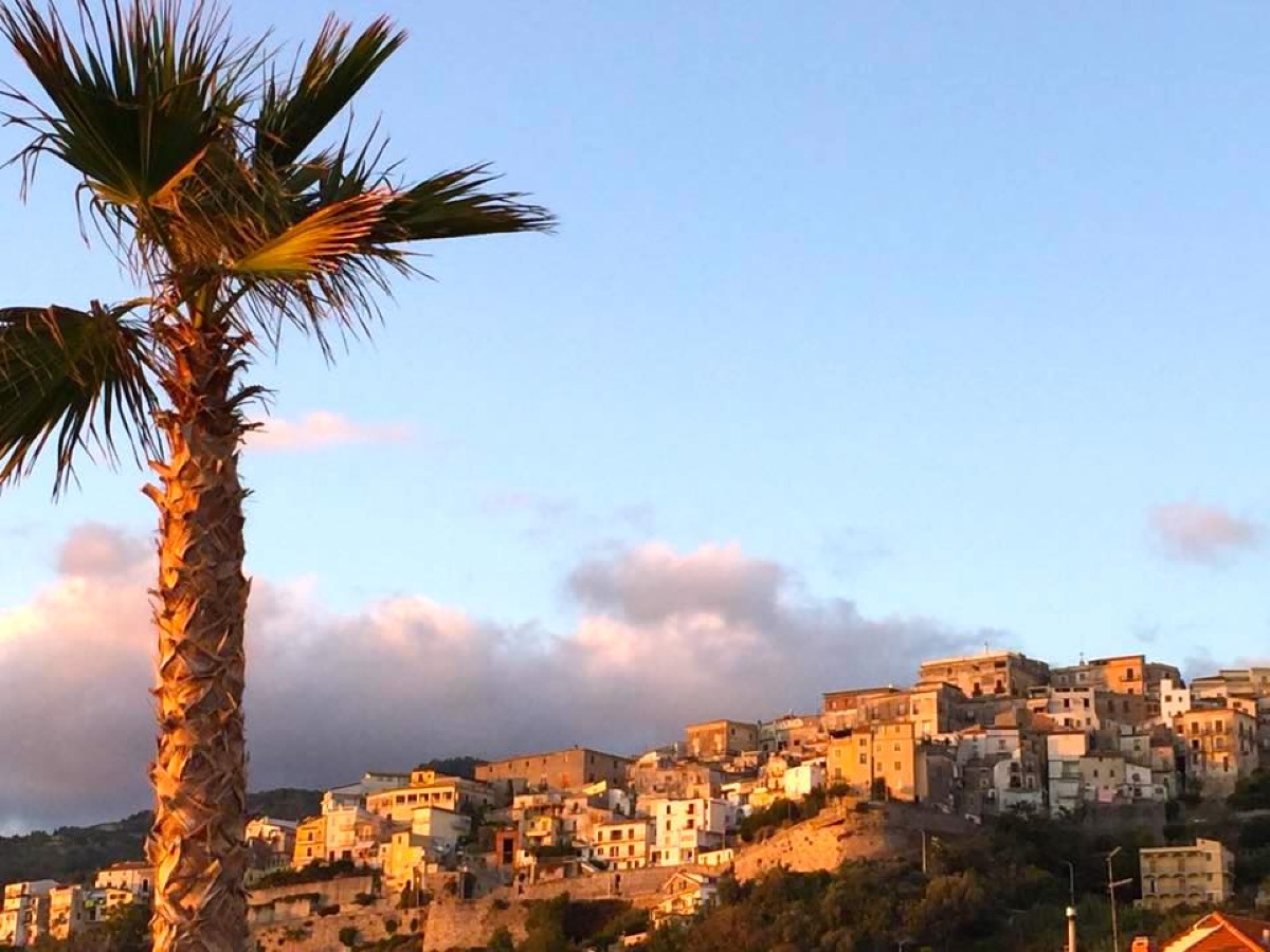 Arresto latitante a Cetraro: il plauso dell'Amministrazione alle Forze dell'Orine - 