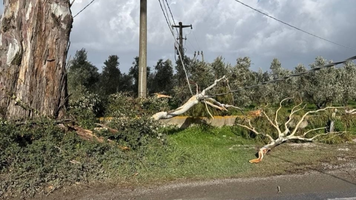 Maltempo in Calabria, oltre 30 interventi dei Vigili del Fuoco: dispositivo di soccorso rafforzato - 