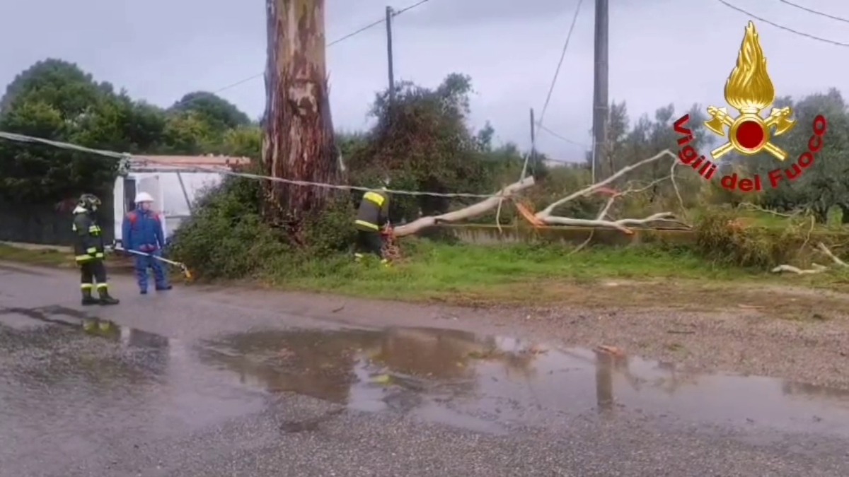 Maltempo in Calabria, intensa attività dei Vigili del Fuoco: ieri 221 interventi - 